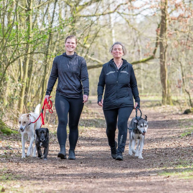 Hundetraining Münster